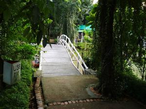 20664002 888417121321700 3023424987172405766 n - Copy