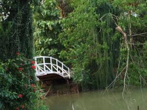 20664573 888416071321805 884366570648119750 n - Copy