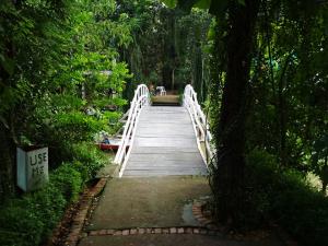 20767841 888416611321751 7334197565794897458 n - Copy