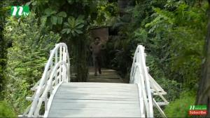 21728341 1317228388402939 8882472573732786834 n - Copy