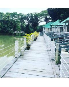 22007884 1977047505911159 5346763356749933169 n - Copy