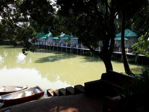 22089565 497871957237059 8543386671784926067 n - Copy