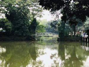 22279842 1599403223441020 1858148541103761725 n