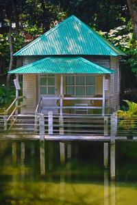 22282010 1600306436684032 8843980738637909160 n - Copy