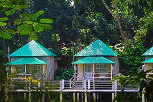 22519168 1610653978982611 6033036391870254906 n - Copy (1)